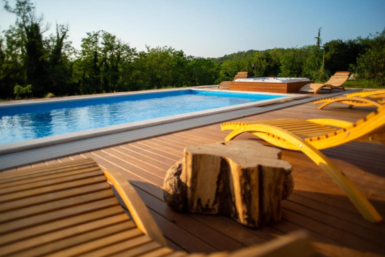 Villa Julijud, Heated Pool, Jacuzzi, Dome And Sauna Brajkovici  Exterior foto